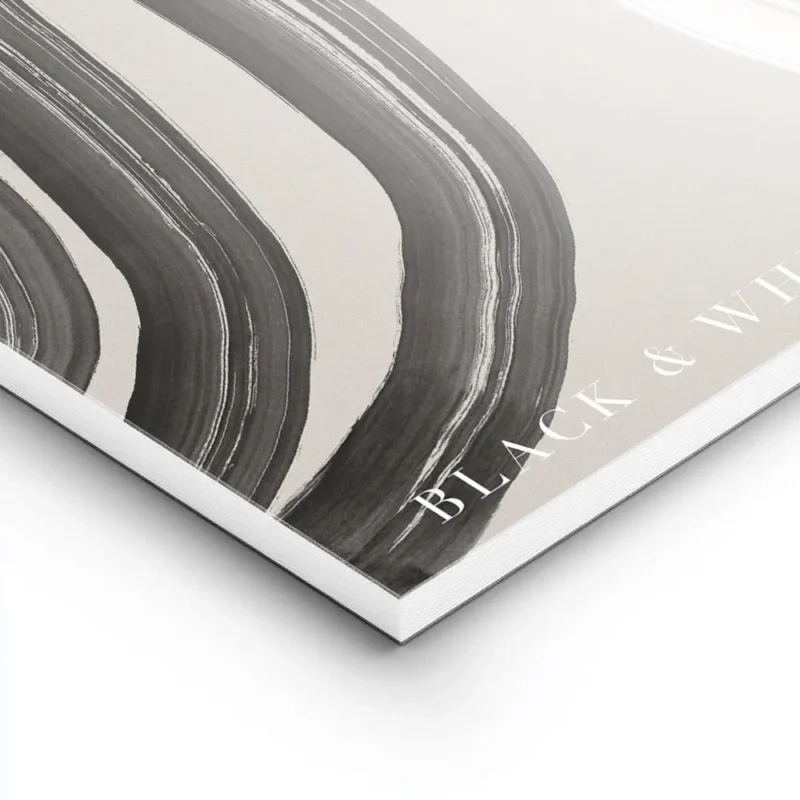 affiche abstraite noir et blanc avec des formes epaisses et organiques sur un fo lightpanel.webp