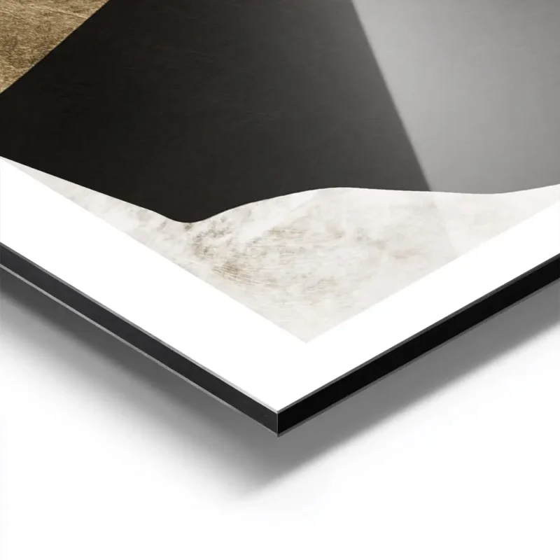 affiche abstraite noire et blanche avec des formes organiques et des details dor aluminium.webp