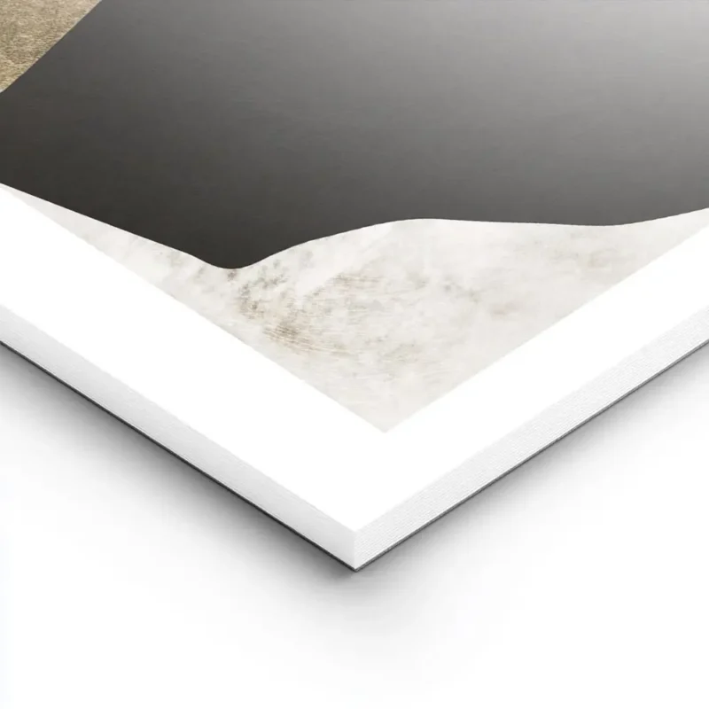 affiche abstraite noire et blanche avec des formes organiques et des details dor lightpanel.webp