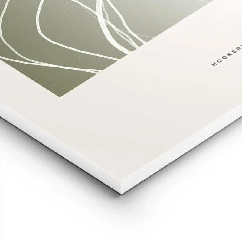 affiche abstraite vert fonce avec des lignes et des taches blanches sur fond bei lightpanel.webp