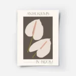 affiche adele naidoo avec deux anthuriums stylises aux spathes rose pale et spad.webp