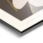 affiche adele naidoo avec deux anthuriums stylises aux spathes rose pale et spad aluminium.webp