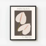 affiche adele naidoo avec deux anthuriums stylises aux spathes rose pale et spad avec cadre.webp