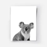 affiche animaliere dun portrait de koala mignon en noir et blanc.webp