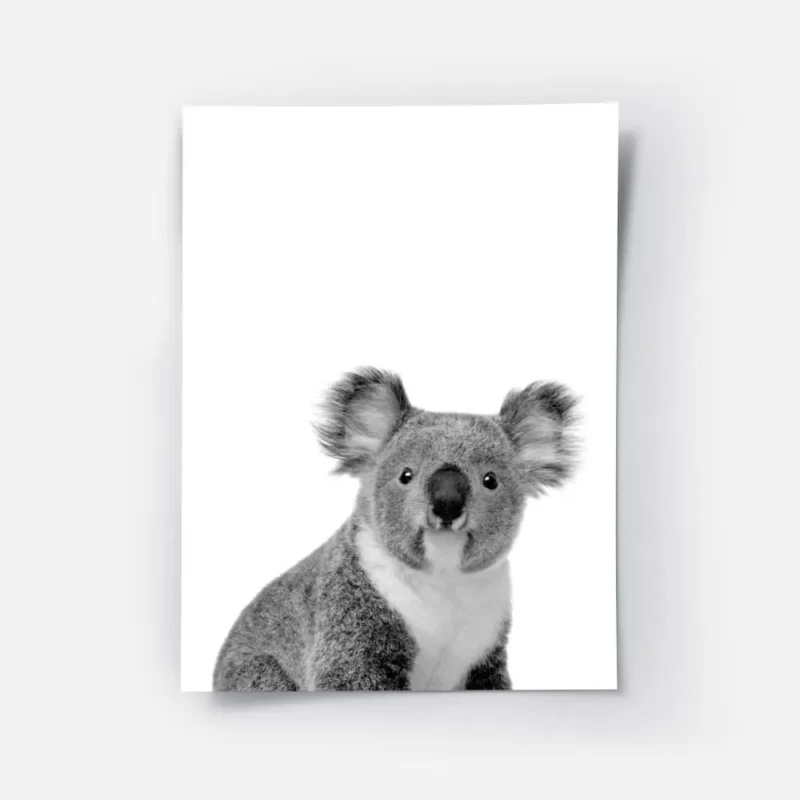 affiche animaliere dun portrait de koala mignon en noir et blanc.webp