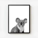 affiche animaliere dun portrait de koala mignon en noir et blanc avec cadre.webp
