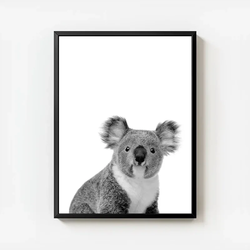 affiche animaliere dun portrait de koala mignon en noir et blanc avec cadre.webp