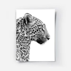 affiche animaliere en noir et blanc dun leopard vu de profil mettant en valeur s.webp