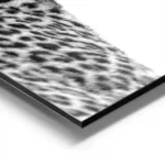 affiche animaliere en noir et blanc dun leopard vu de profil mettant en valeur s aluminium.webp