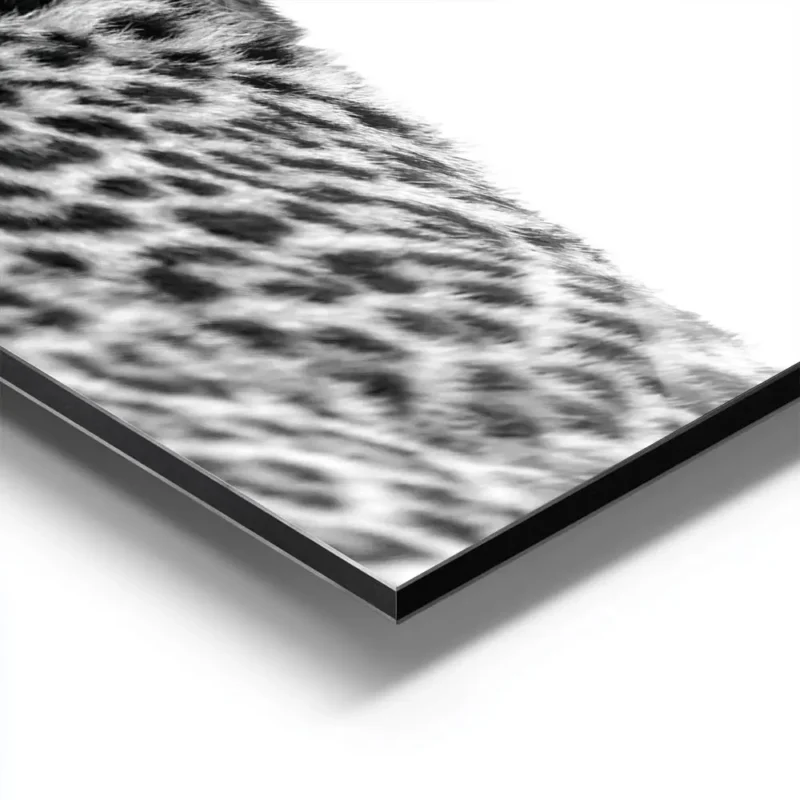 affiche animaliere en noir et blanc dun leopard vu de profil mettant en valeur s aluminium.webp