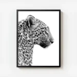 affiche animaliere en noir et blanc dun leopard vu de profil mettant en valeur s avec cadre.webp