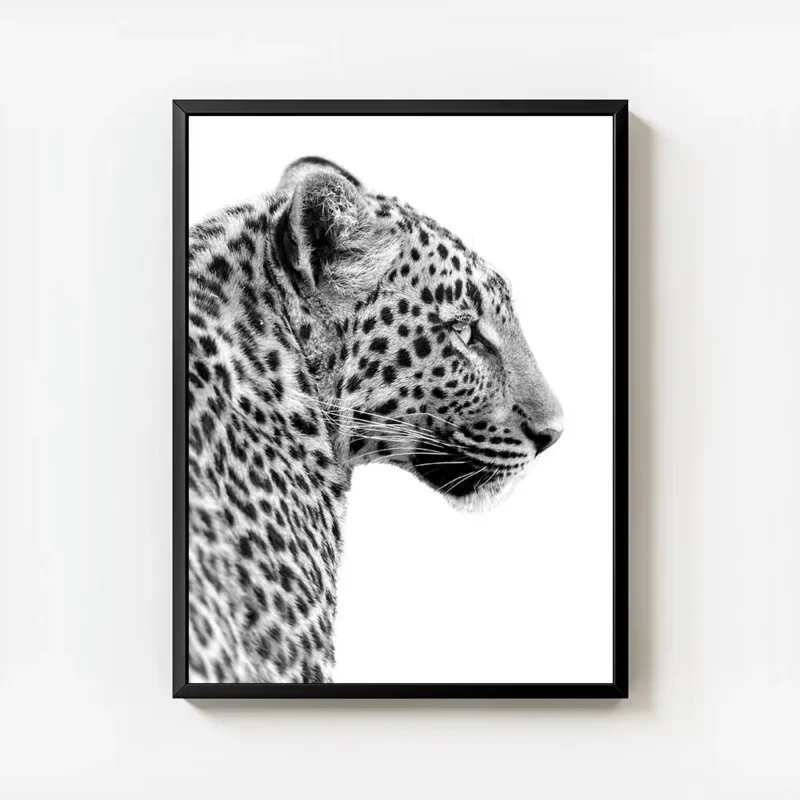affiche animaliere en noir et blanc dun leopard vu de profil mettant en valeur s avec cadre.webp