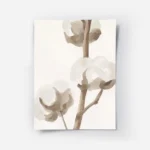 affiche aquarelle de fleurs de coton aux couleurs douces blanche et beige sur un.webp