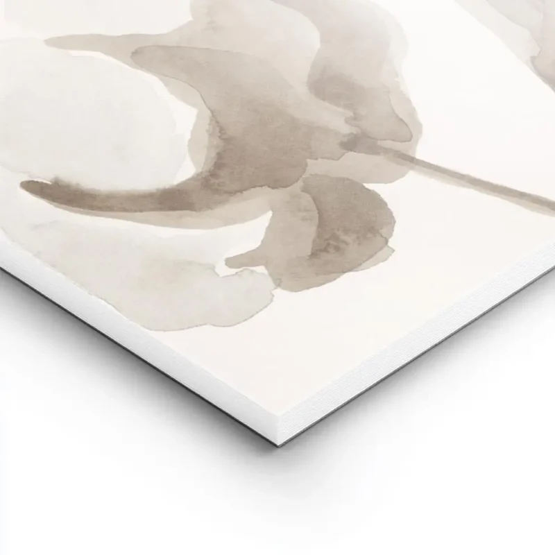 affiche aquarelle de fleurs de coton aux couleurs douces blanche et beige sur un lightpanel.webp