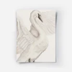 affiche aquarelle dun cygne blanc delicat avec ses ailes deployees couleurs douc.webp