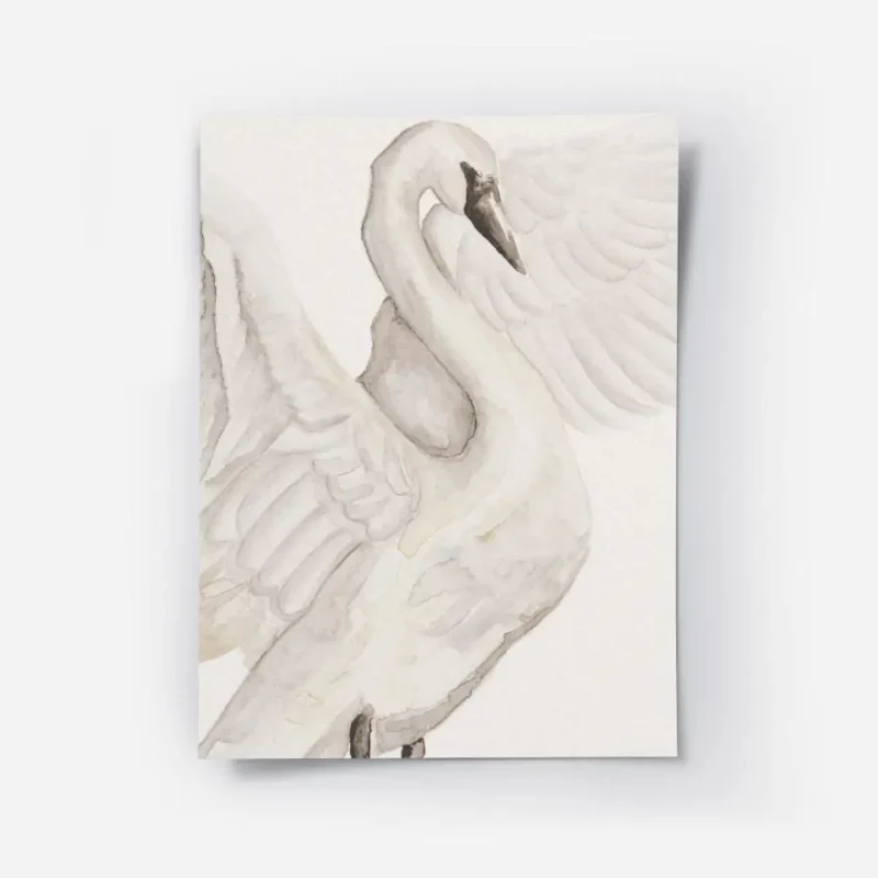 affiche aquarelle dun cygne blanc delicat avec ses ailes deployees couleurs douc.webp