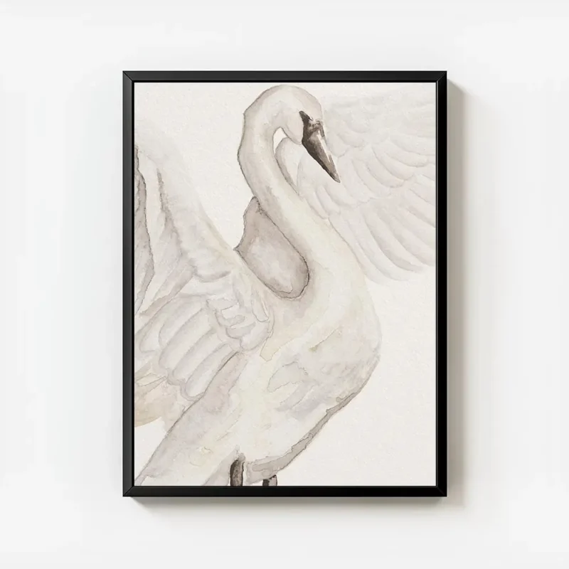 affiche aquarelle dun cygne blanc delicat avec ses ailes deployees couleurs douc avec cadre.webp