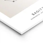 affiche astrologique du sagittaire avec une constellation noire et texte sur fon lightpanel.webp