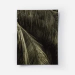 affiche aux teintes sombres representant des feuilles de palmier avec un jeu de .webp