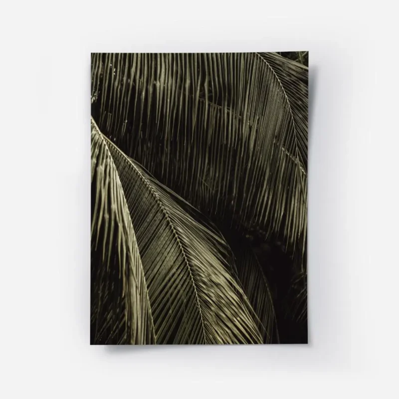 affiche aux teintes sombres representant des feuilles de palmier avec un jeu de .webp