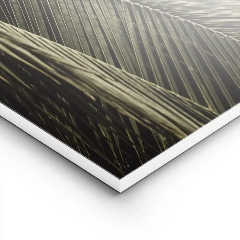 affiche aux teintes sombres representant des feuilles de palmier avec un jeu de lightpanel.webp