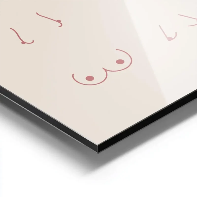 affiche avec 15 representations minimalistes de poitrines feminines de different aluminium.webp