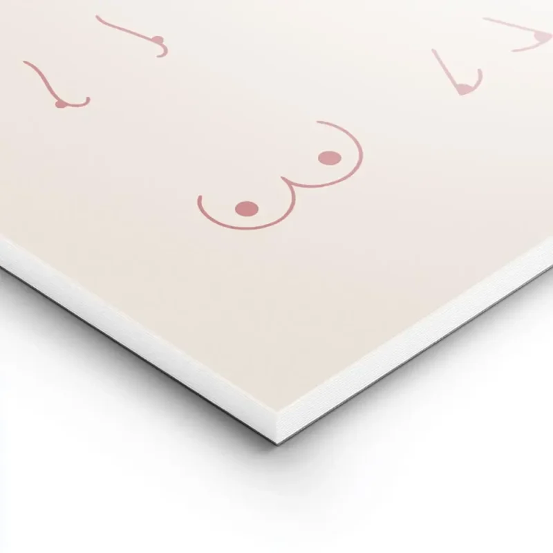 affiche avec 15 representations minimalistes de poitrines feminines de different lightpanel.webp