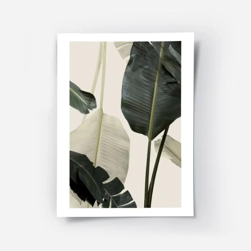 affiche avec de grandes feuilles de bananier vert fonce et blanc casse sur un fo.webp