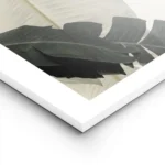 affiche avec de grandes feuilles de bananier vert fonce et blanc casse sur un fo lightpanel.webp