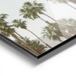 affiche avec de grands palmiers luxuriants setirant vers un ciel bleu clair natu aluminium.webp