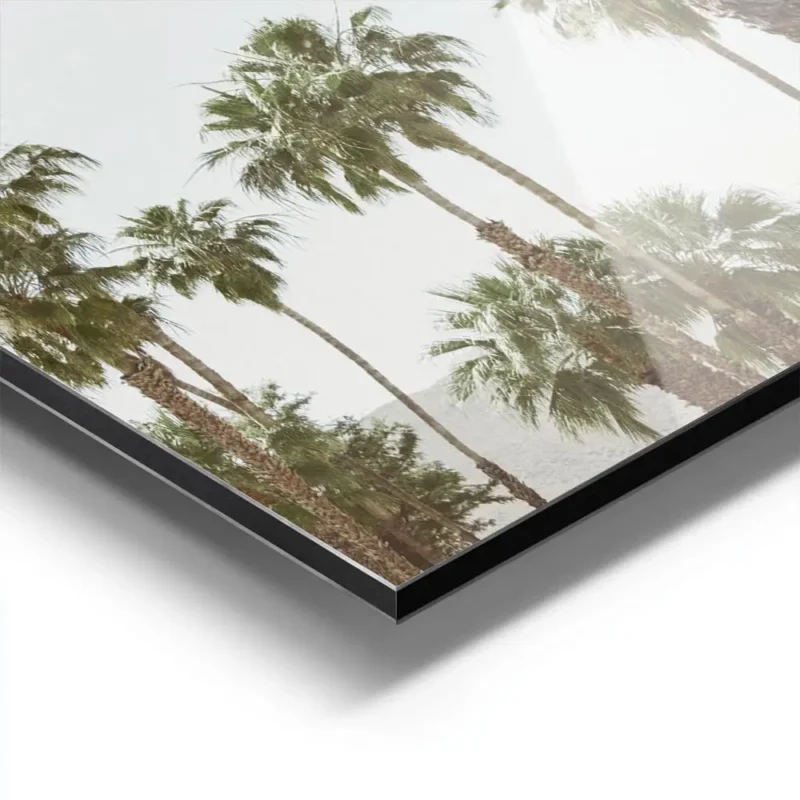 affiche avec de grands palmiers luxuriants setirant vers un ciel bleu clair natu aluminium.webp