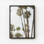 affiche avec de grands palmiers luxuriants setirant vers un ciel bleu clair natu avec cadre.webp