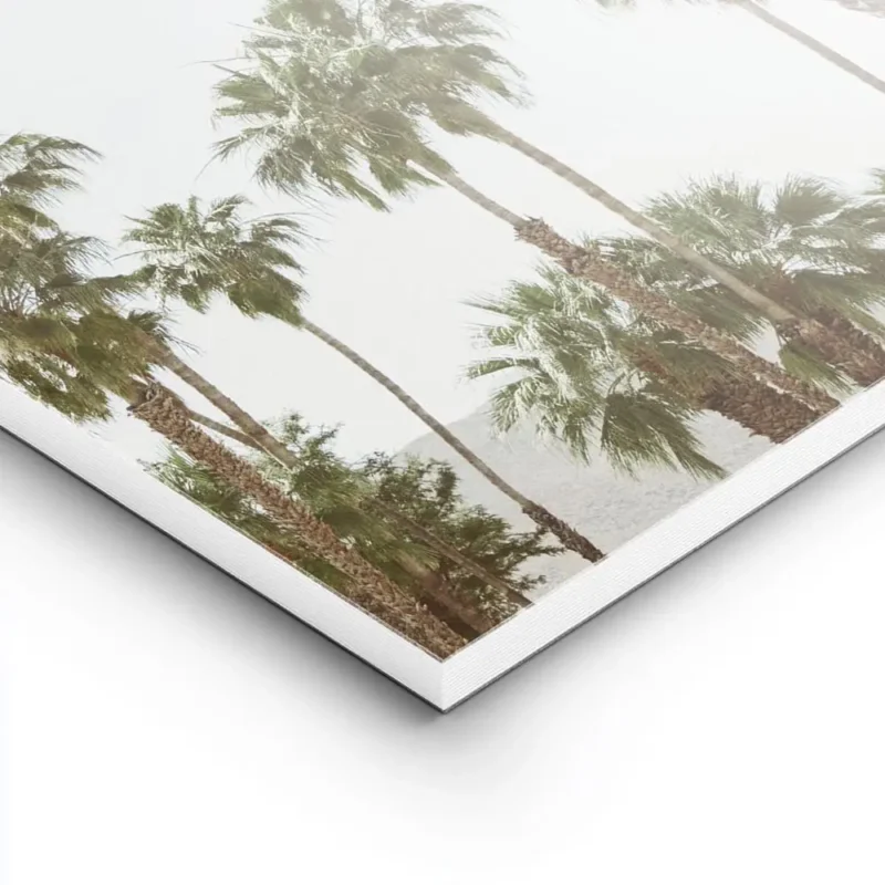 affiche avec de grands palmiers luxuriants setirant vers un ciel bleu clair natu lightpanel.webp