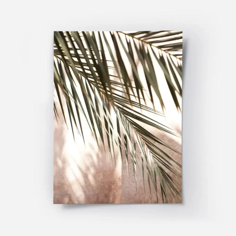 affiche avec des feuilles de palmier vertes projetant des ombres sur un mur rose.webp