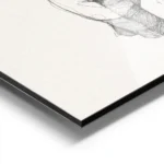 affiche avec dessin femme silhouette nue vue de dos bras derriere le dos style e aluminium.webp
