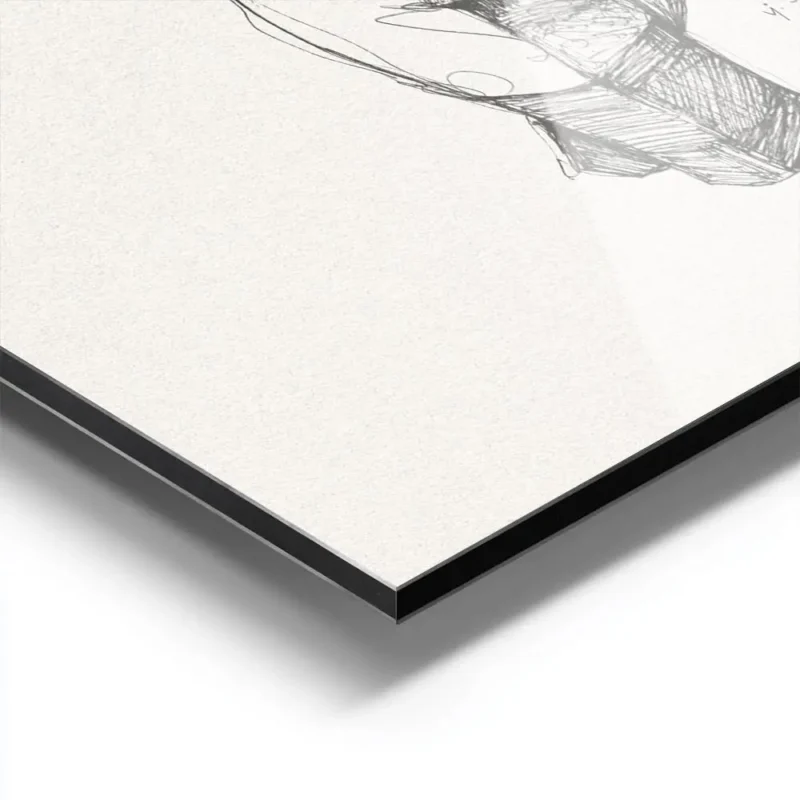 affiche avec dessin femme silhouette nue vue de dos bras derriere le dos style e aluminium.webp