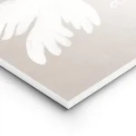 affiche avec deux colombes blanches peintes en coups de pinceau doux entourees d lightpanel.webp