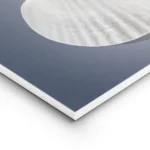 affiche avec deux coquillages blancs sur un fond bleu fonce lun a lendroit lautr lightpanel.webp