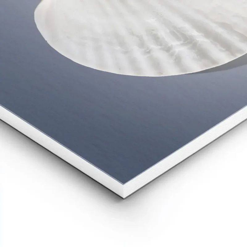 affiche avec deux coquillages blancs sur un fond bleu fonce lun a lendroit lautr lightpanel.webp