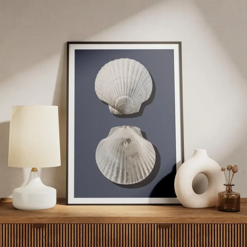 affiche avec deux coquillages blancs sur un fond bleu fonce lun a lendroit lautr meuble.webp