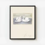 affiche avec deux cygnes blancs aux cous entrelaces formant un c ur sur un lac a avec cadre.webp