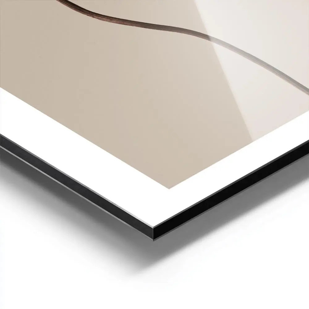 Image galerie 9