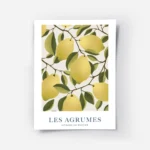 affiche avec illustration de citrons jaunes sur des branches feuillues sur fond .webp