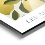 affiche avec illustration de citrons jaunes sur des branches feuillues sur fond aluminium.webp