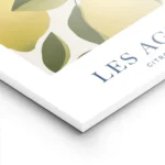 affiche avec illustration de citrons jaunes sur des branches feuillues sur fond lightpanel.webp