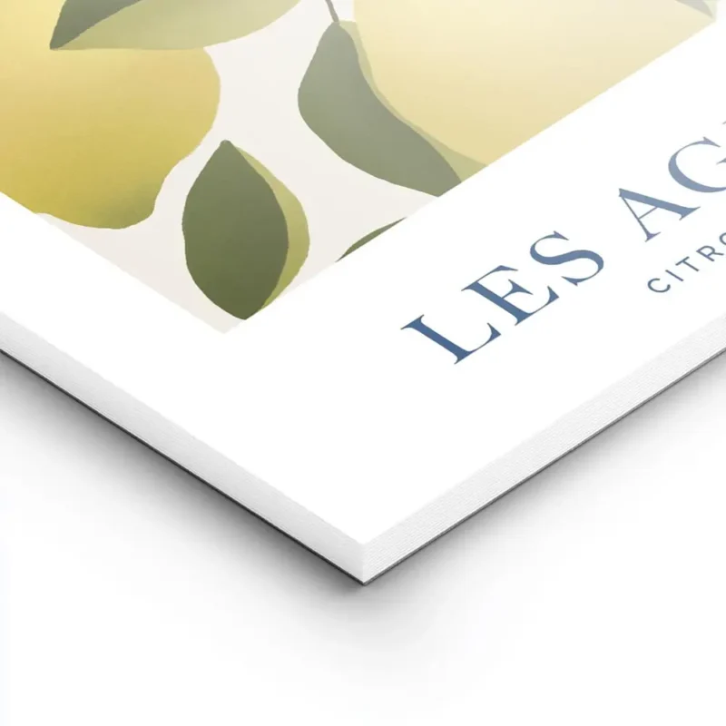 affiche avec illustration de citrons jaunes sur des branches feuillues sur fond lightpanel.webp