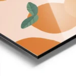 affiche avec illustration de plusieurs oranges et feuilles vertes sur fond clair aluminium.webp