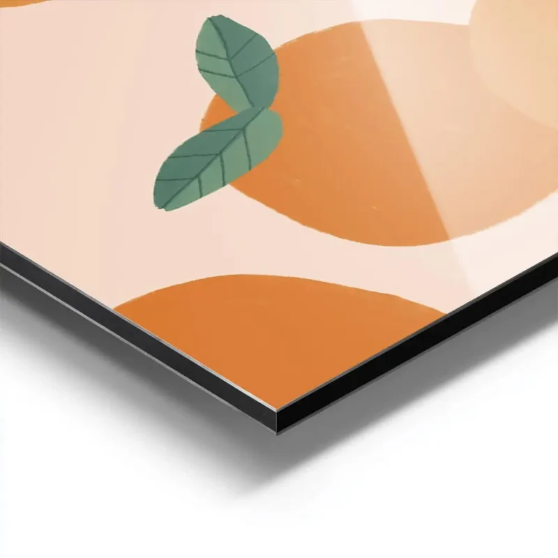 affiche avec illustration de plusieurs oranges et feuilles vertes sur fond clair aluminium.webp