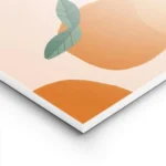 affiche avec illustration de plusieurs oranges et feuilles vertes sur fond clair lightpanel.webp