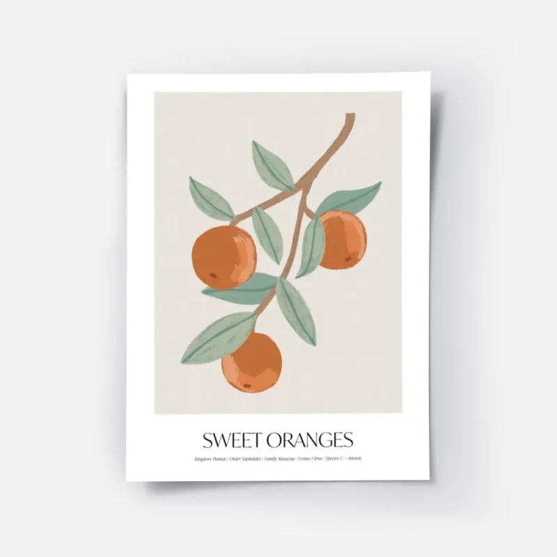 affiche avec illustration dune branche doranger portant des oranges et des feuil.webp